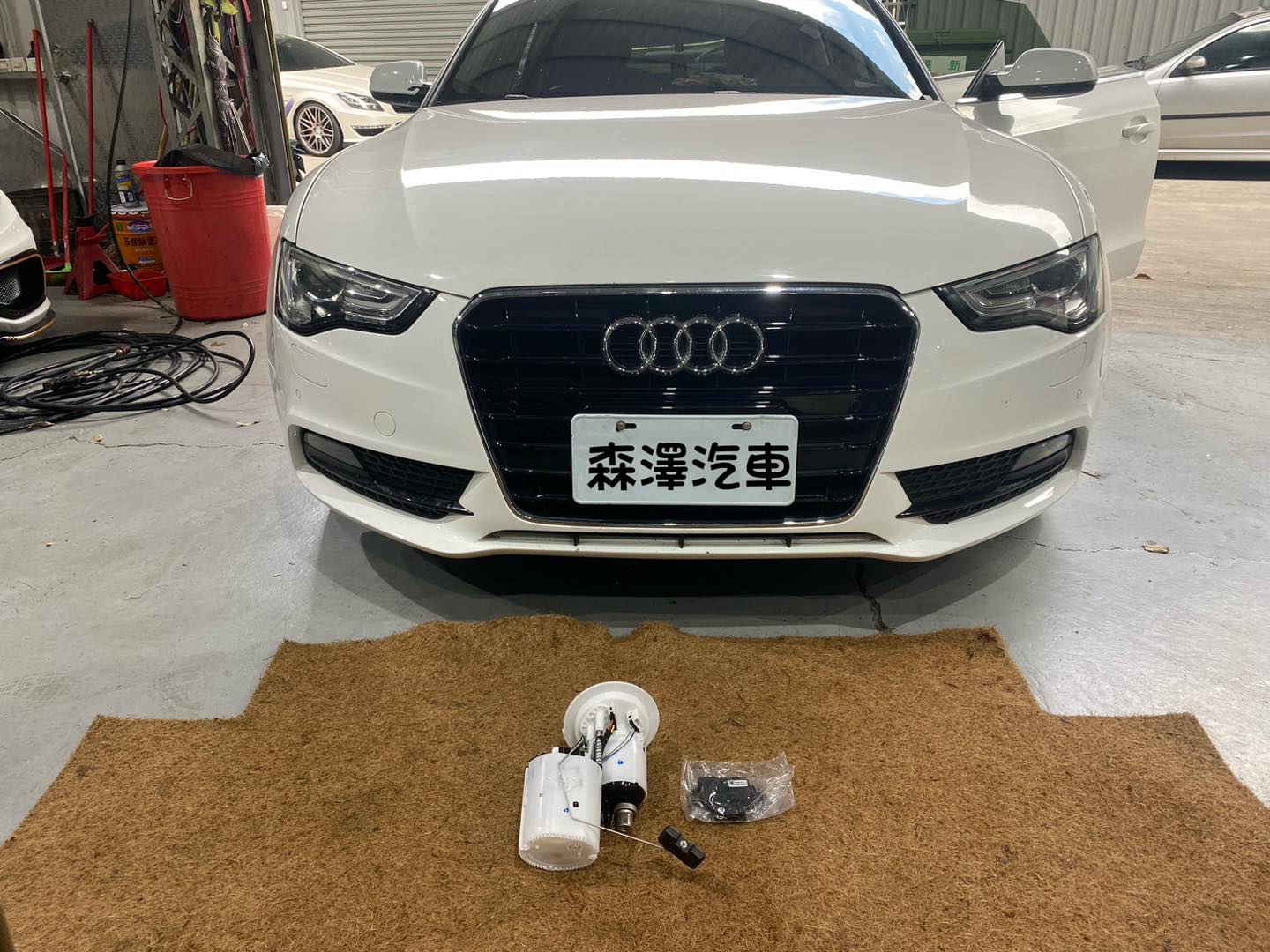 493533261 1268130818595136 9203587130571885162 n